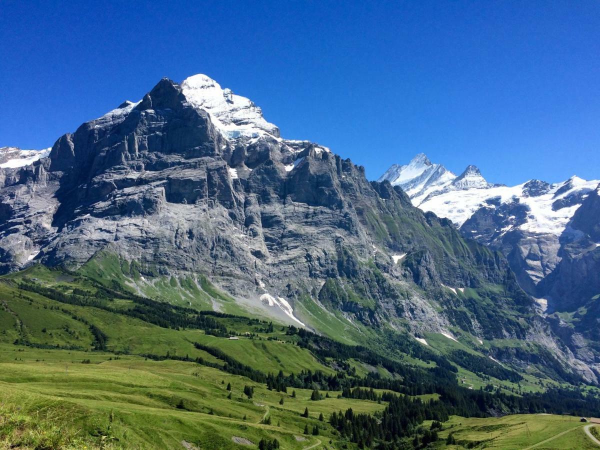 Апартаменты Wetterhorn, Eiger, Jungfrau, Amazing! Гриндельвальд Экстерьер фото