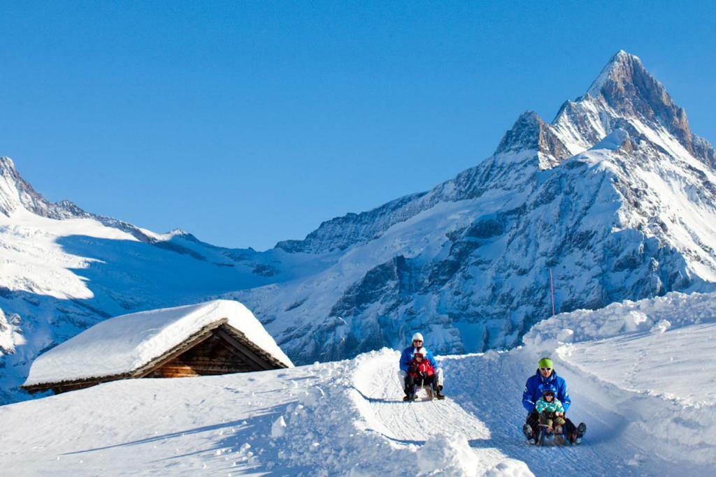 Апартаменты Wetterhorn, Eiger, Jungfrau, Amazing! Гриндельвальд Экстерьер фото